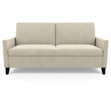 Harris Queen Sleeper by American Leather at Artful Lodger in Charlottesville, VA