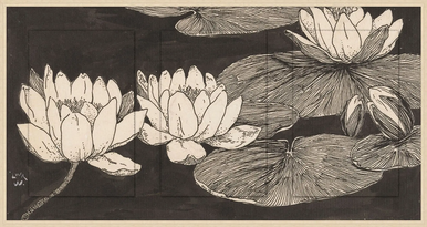 Inked Lillies
