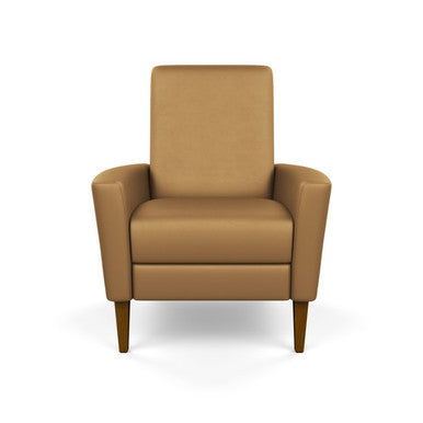 Leather Vida Re-Invented Recliner by American Leather at the Artful Lodger in Charlottesville, VA